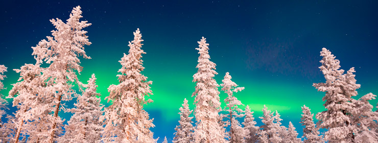 Suomen parhaat osakkeet 2022
