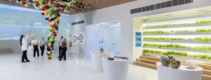 Nokia Suomen arvokkain brändi, Elisa vahvin ja Wärtsilä kovin nousija