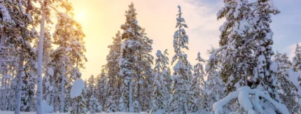 Vastuullinen sijoittaminen – miten löydän sijoituskohteet?