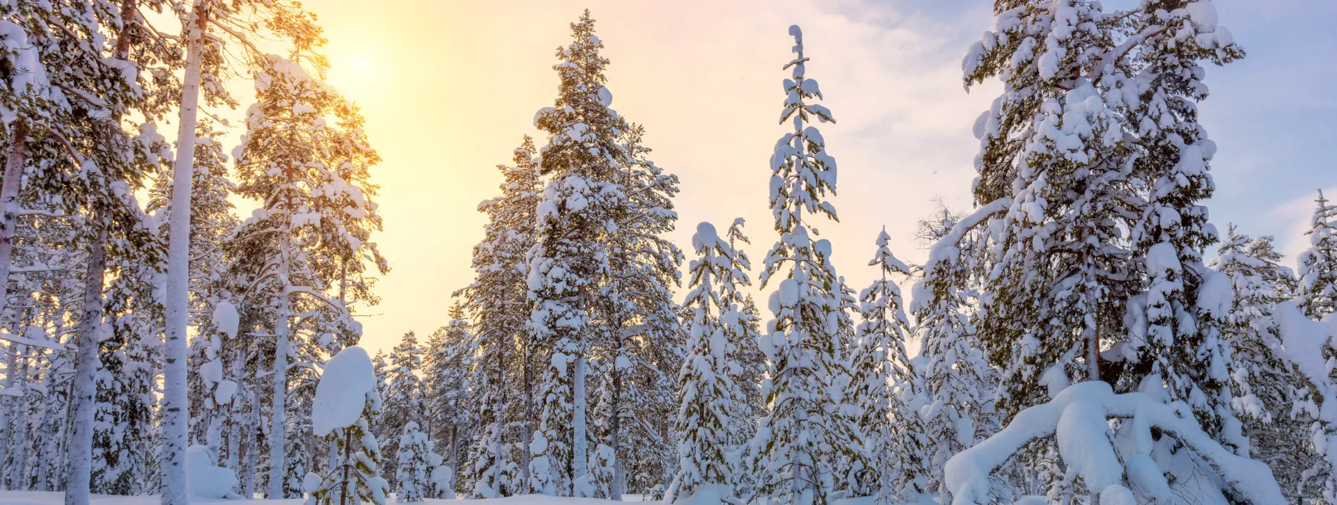 vastuullinen sijoittaminen