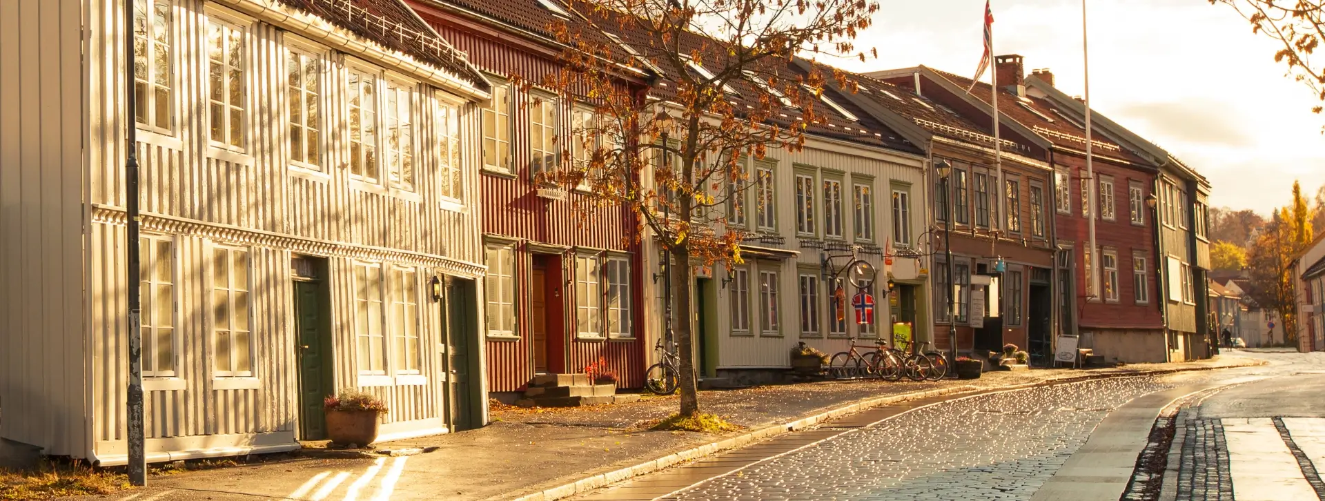 Syyskuun parhaiten tuottaneet osinko-osakkeet pohjoismaista.