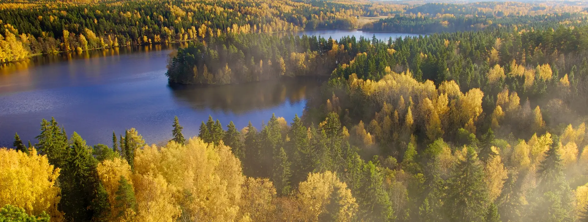 Parhaiten tuottaneet suomalaiset osinko-osakkeet syyskuussa 2025.