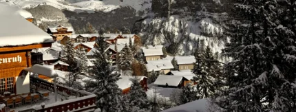 Parhaat osinko-osakkeet maailmalta