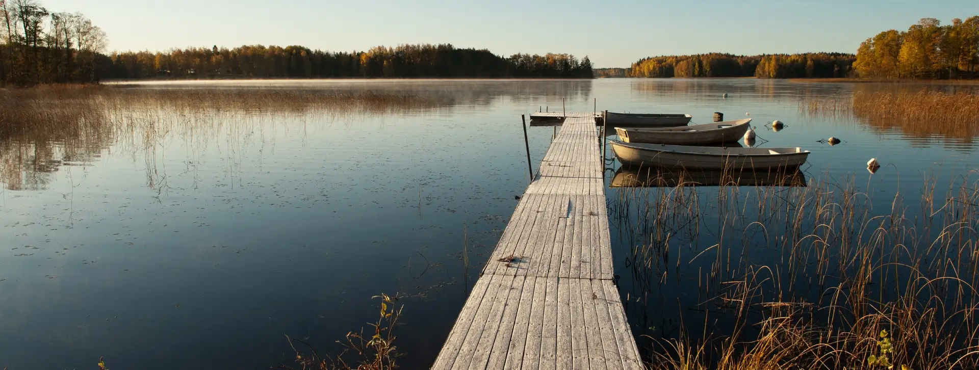 Lokakuun parhaiten tuottaneet osinko-osakkeet pohjoismaista.