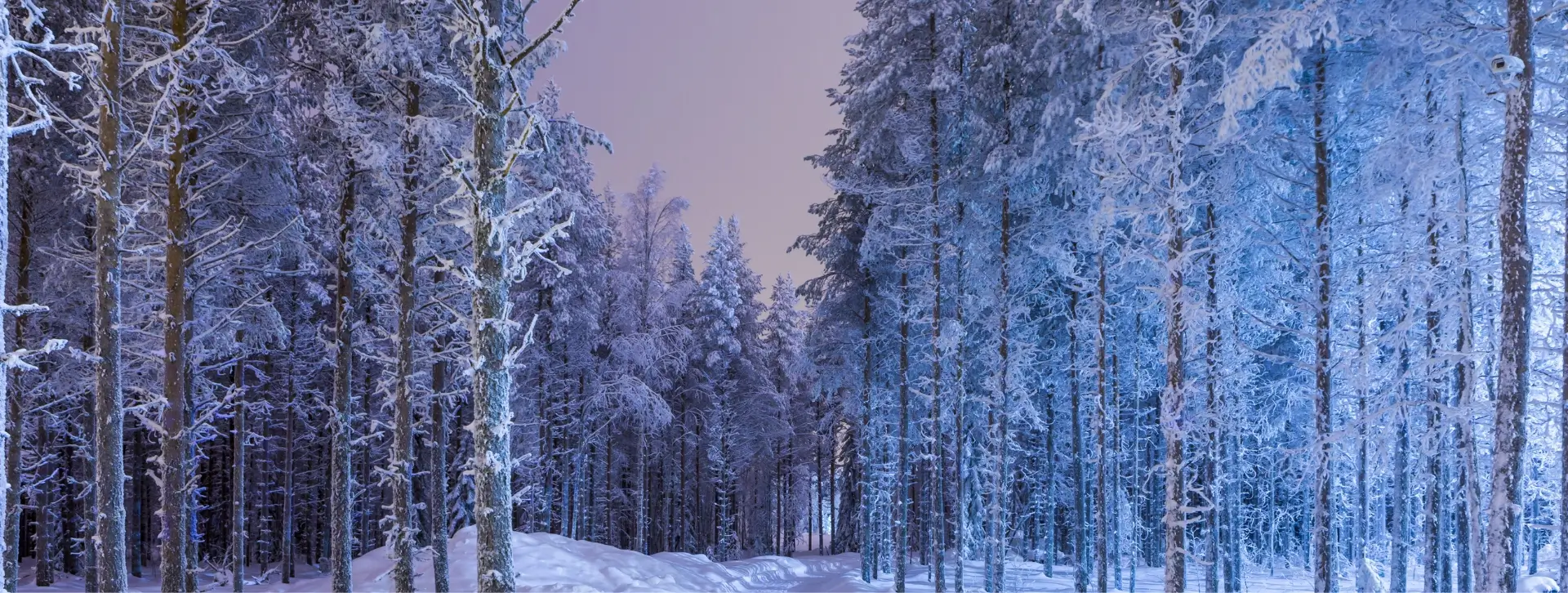 Joulukuun parhaiten tuottaneet osinko-osakkeet pohjoismaista.
