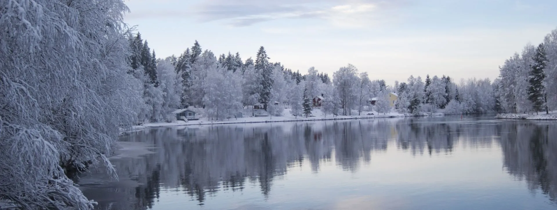 Parhaiten tuottaneet suomalaiset osinko-osakkeet marraskuussa 2025.