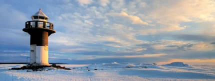 Vuoden 2025 suosituimmat sijoitussisällöt