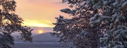 Parhaiten tuottaneet indeksirahastot