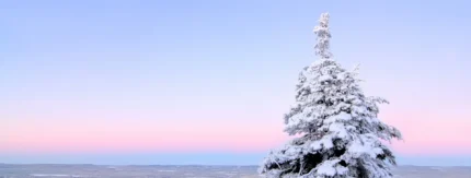Parhaiten tuottaneet suomalaiset osakkeet