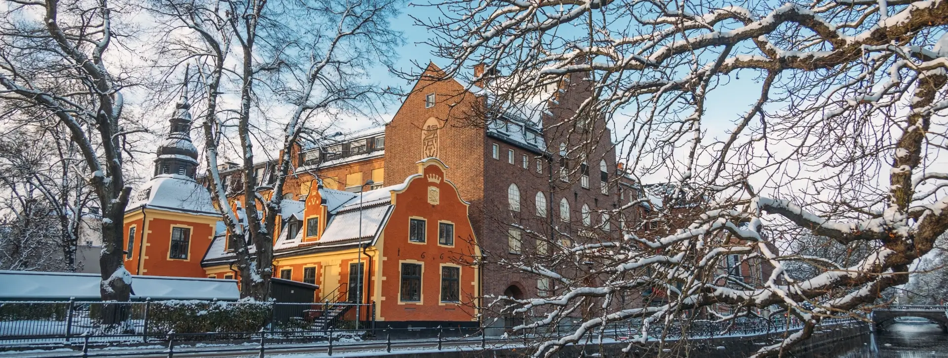 Helmikuun parhaiten tuottaneet osinko-osakkeet pohjoismaista.
