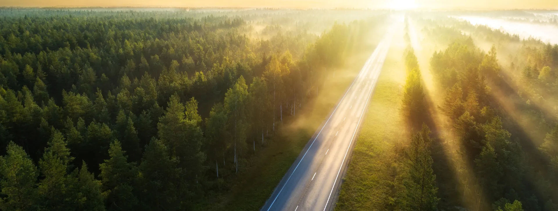 Kuinka pienellä summalla kannattaa avata osakesäästötili? - Artikkelin kuvituskuva
